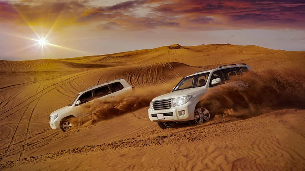 evening desert safari