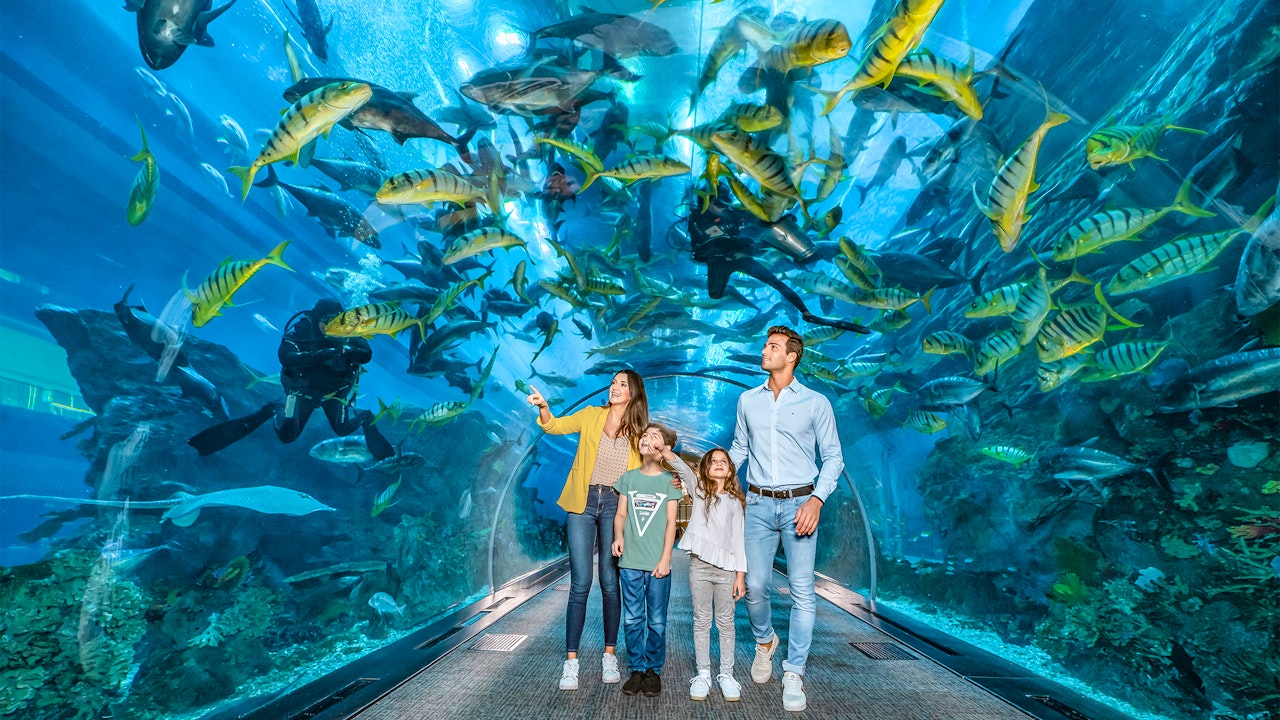 Dubai Aquarium And Underwater Zoo  Ticket