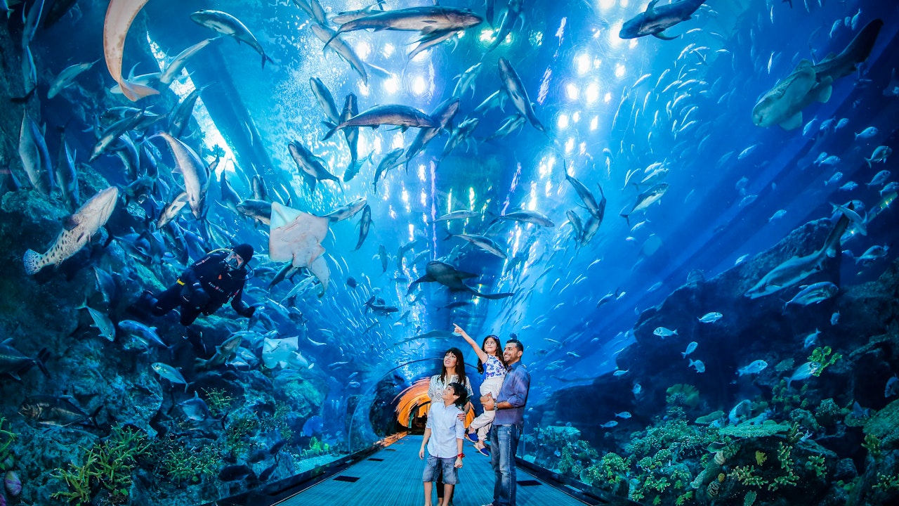 Dubai Aquarium And Underwater Zoo  Price