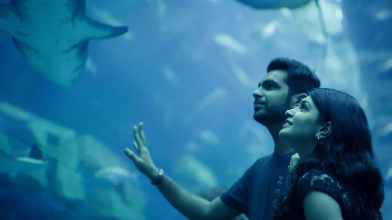 Dubai Aquarium And Underwater Zoo