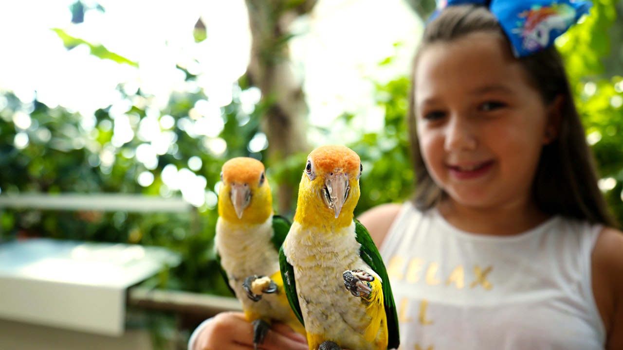 Green Planet Dubai Tickets Discount