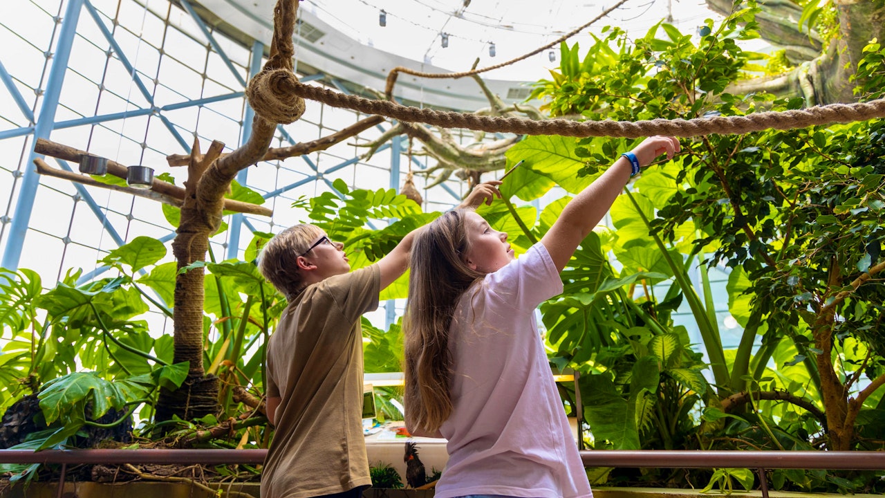 Green Planet Dubai Tickets Ticket