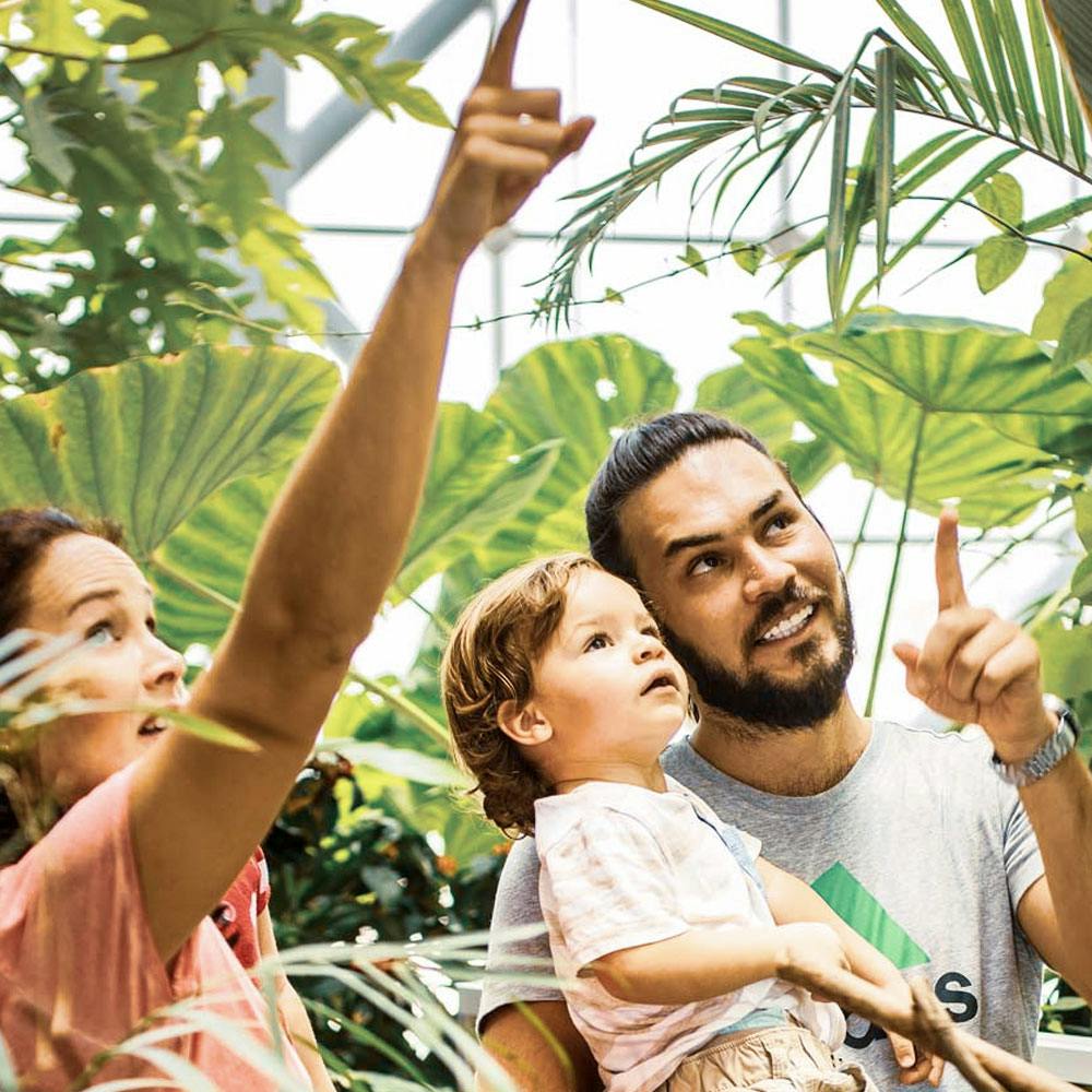 Green Planet Dubai Tickets