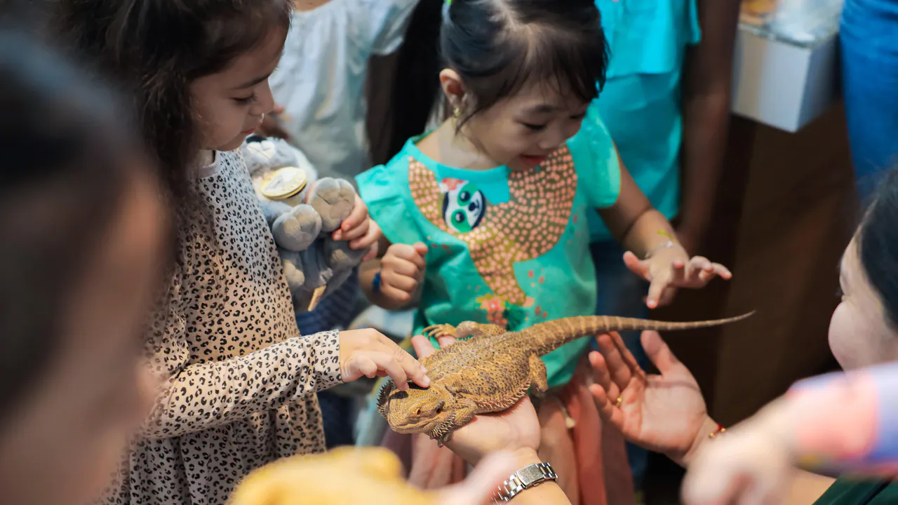 Green Planet Dubai Tickets Thrillark