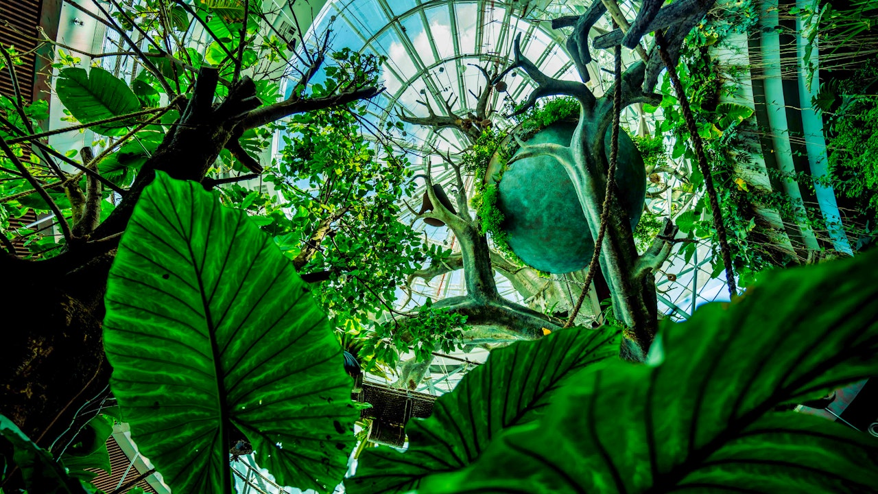 Green Planet Dubai Tickets Category