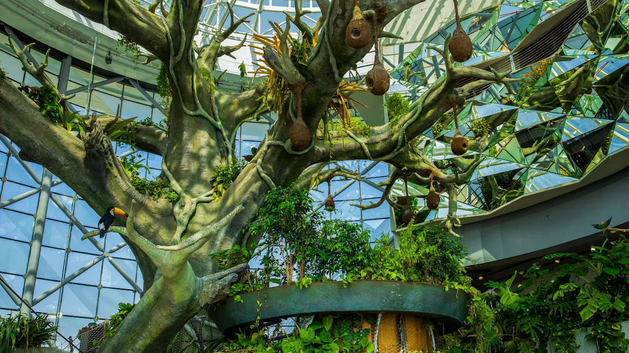 Green Planet Dubai Tickets Price