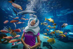 Aquaventure Waterpark Tickets