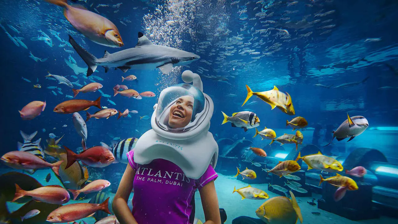 aquaventure waterpark tickets