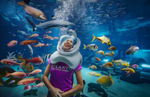 Aquaventure and Lost Chamber Aquarium Combo Tickets