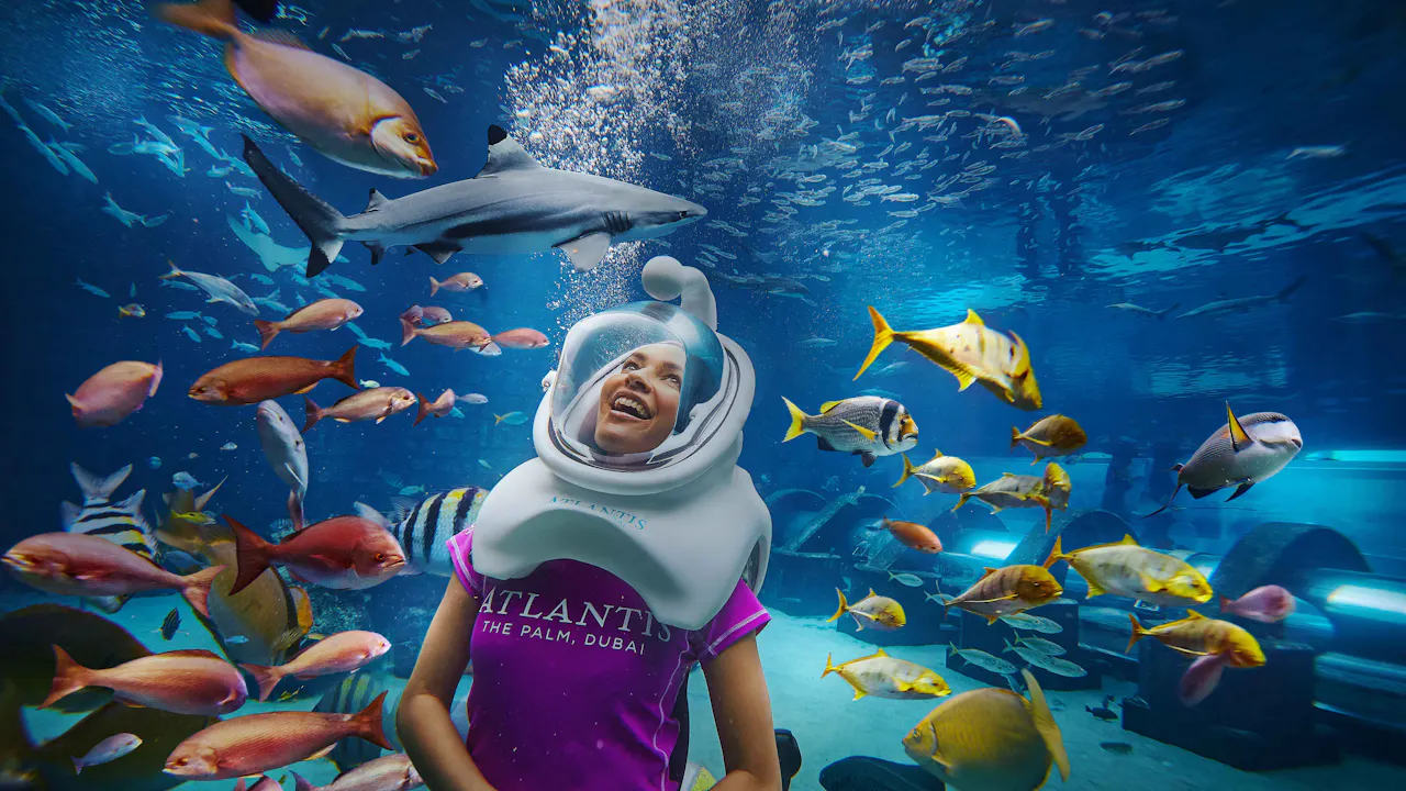 Aquaventure + Lost Chamber Aquarium Price