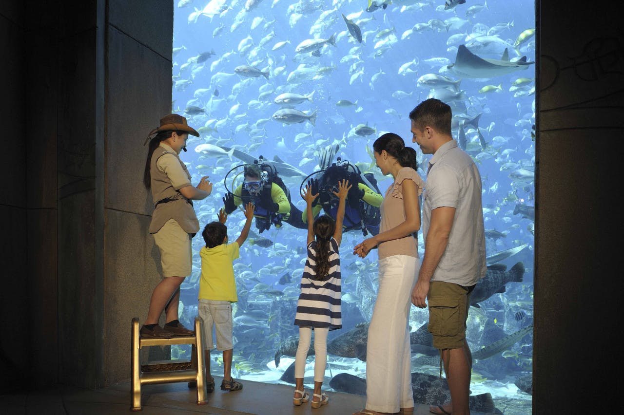 The Lost World Aquarium Tickets (Formerly The Lost Chambers) Ticket