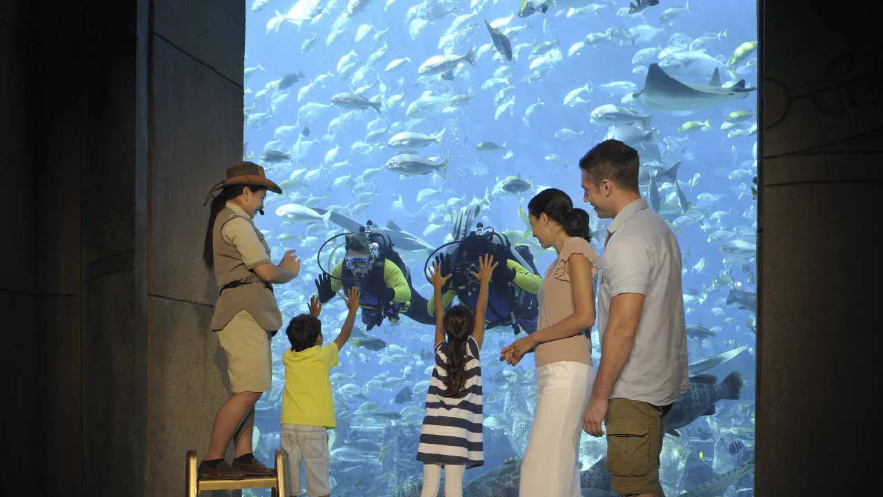 The Lost World Aquarium Tickets (Formerly The Lost Chambers) Ticket