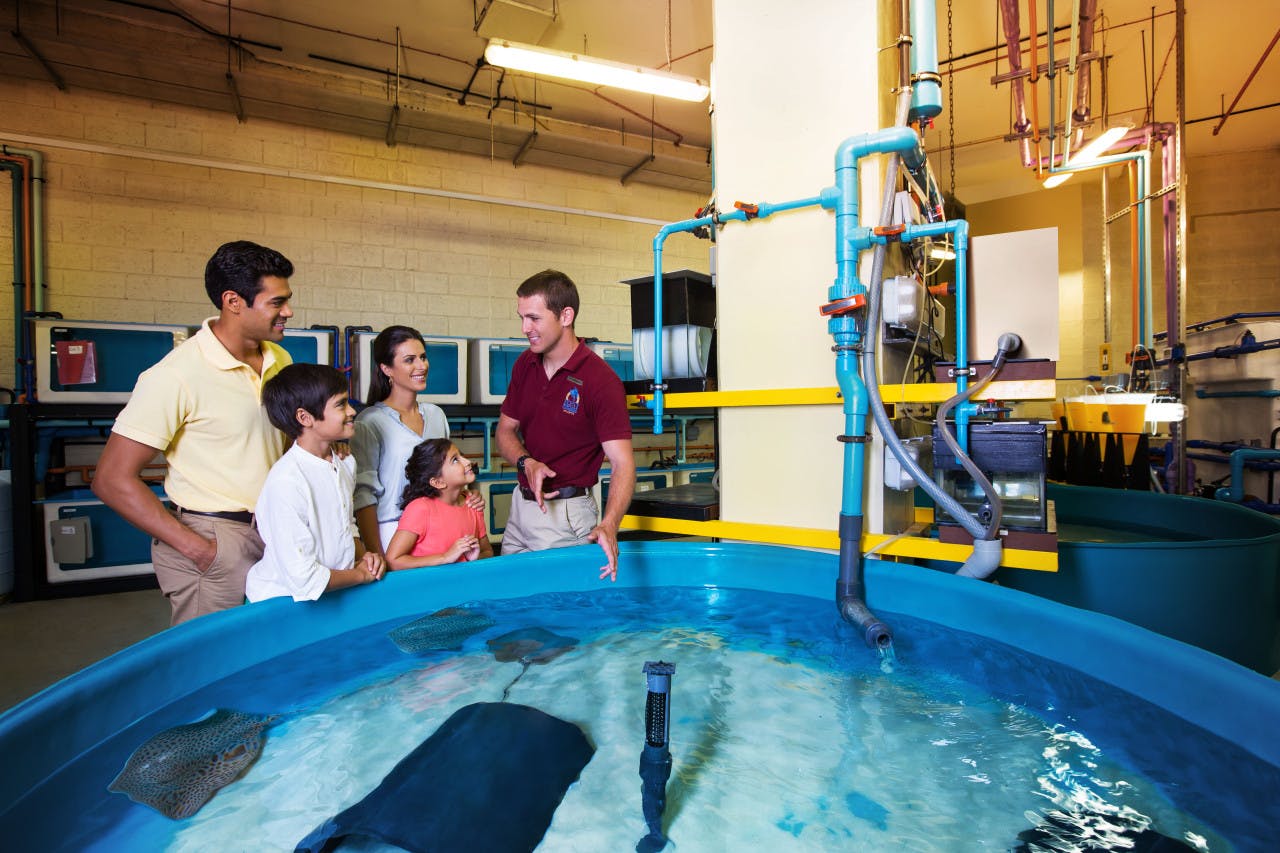 The Lost World Aquarium Tickets (Formerly The Lost Chambers) Thrillark