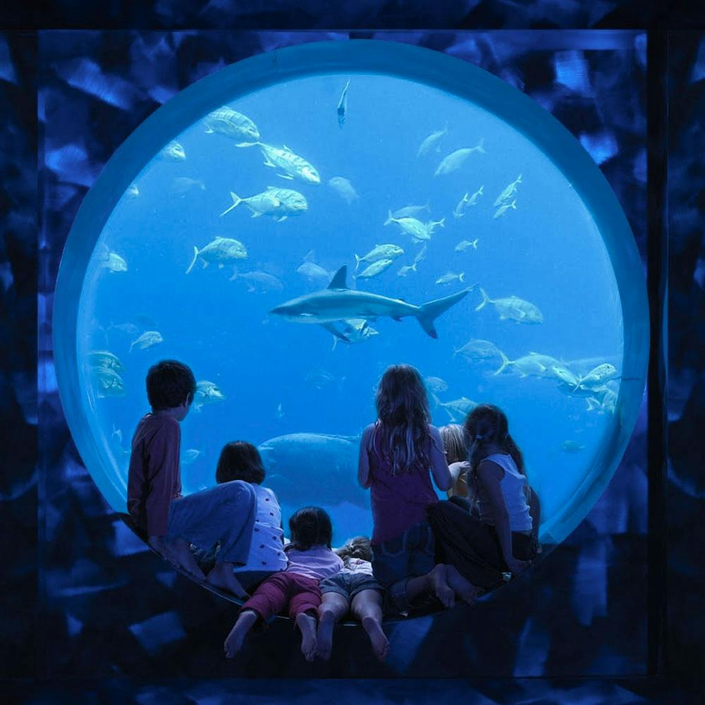 The Lost Chambers Aquarium 