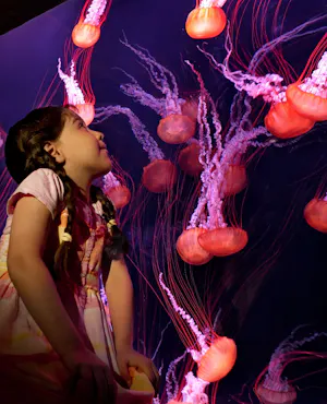 The Lost World Aquarium Tickets (Formerly The Lost Chambers)