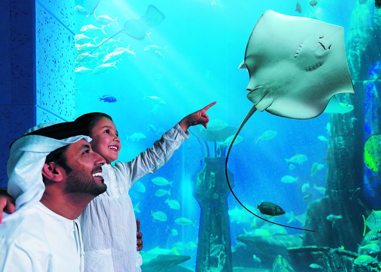 The Lost World Aquarium Tickets (Formerly The Lost Chambers) Discount