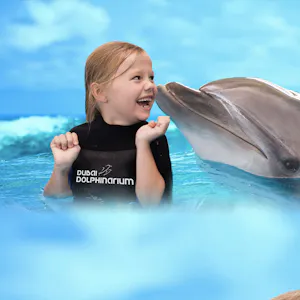 Dubai Dolphinarium Tickets: Dolphin & Seal Show