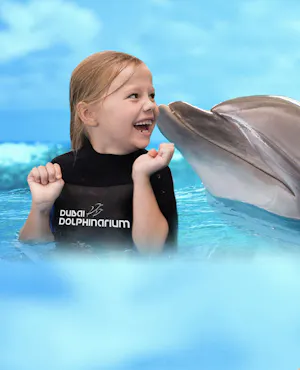 Dubai Dolphinarium Tickets: Dolphin & Seal Show