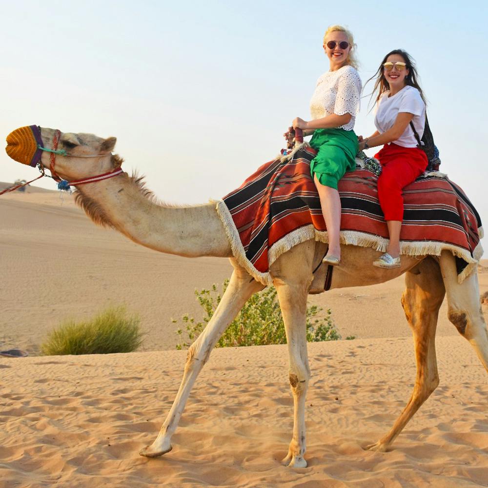 Dhow Cruise + Desert Safari   Discount