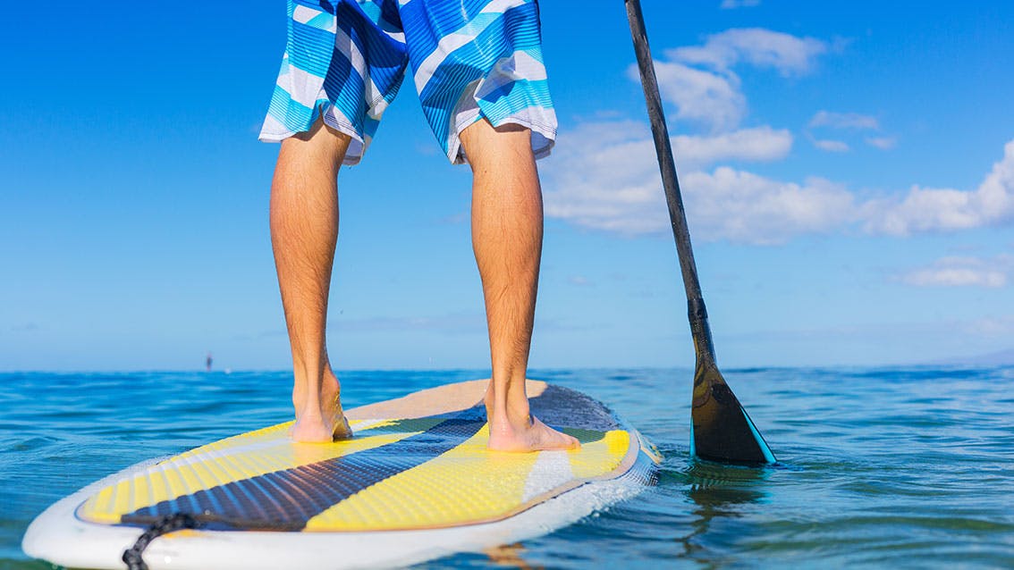 Stand Up Paddle Board Category
