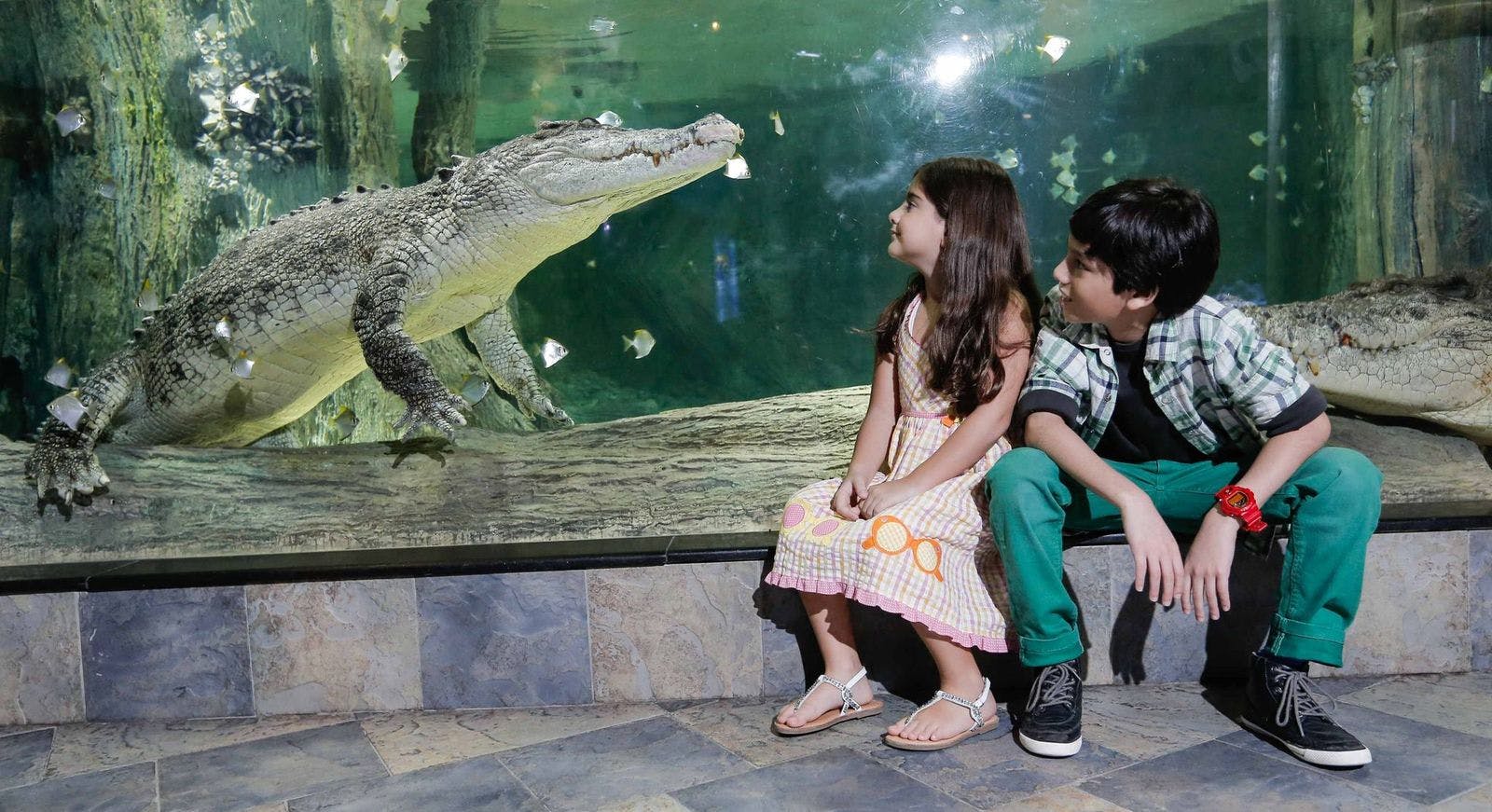 Burj Khalifa Level 124+125 + Dubai Aquarium and Underwater Zoo Discount