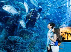 Combo: Burj Khalifa At The Top (Level 124 & 125) + Dubai Aquarium & Underwater Zoo Tickets