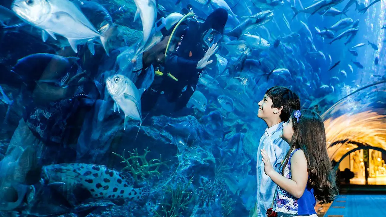 Burj Khalifa Level 124+125 + Dubai Aquarium and Underwater Zoo Location