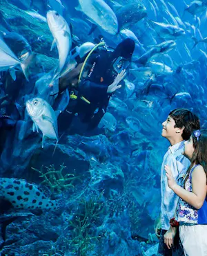 Combo: Burj Khalifa At The Top (Level 124 & 125) + Dubai Aquarium & Underwater Zoo Tickets