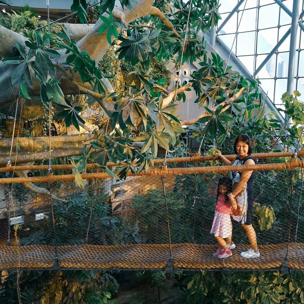 Mattel Play! Town + Green Planet  Location