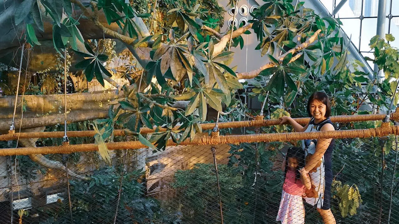 Mattel Play! Town + Green Planet Location