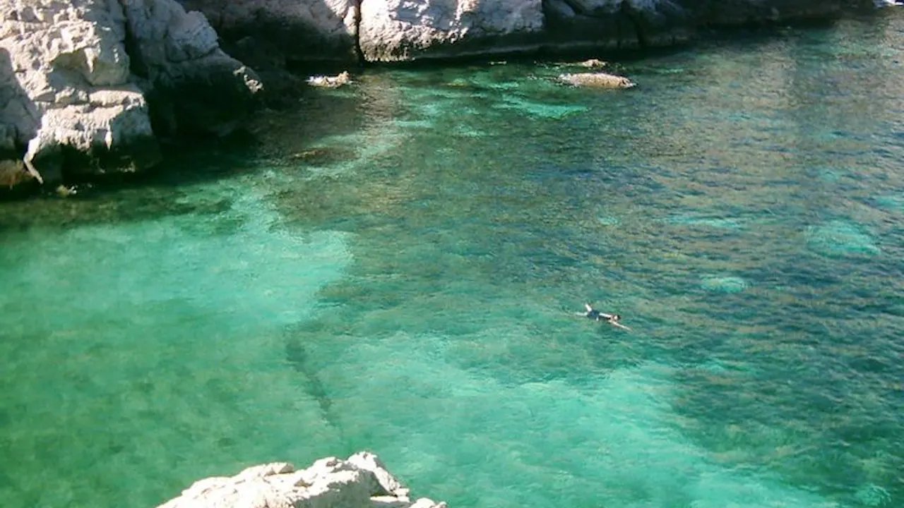 Musandam- Dibba Tour Price