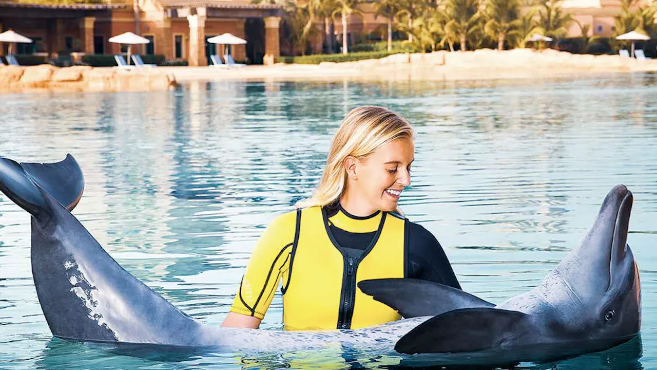 Dolphin Bay Atlantis