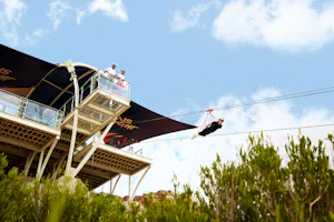 Jebel Jais Zipline Tickets Ras Al Khaimah
