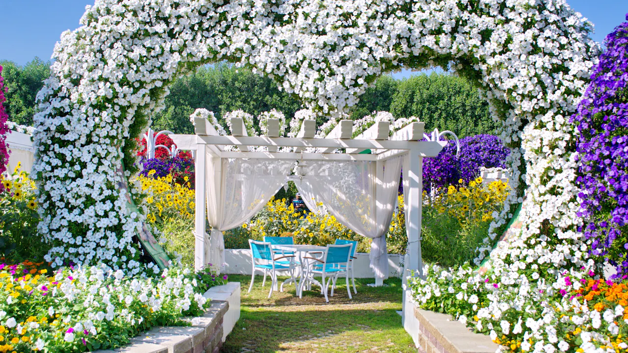 miracle garden ticket