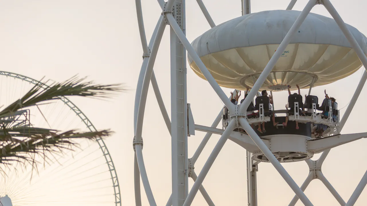 Flying Cup Thrillark