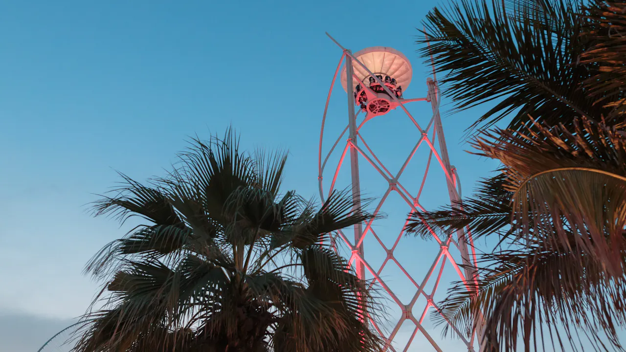 Flying Cup Thrillark