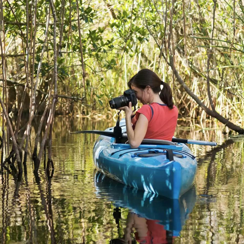 Mangrove Tour 