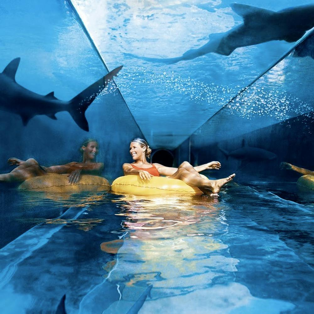 Aquaventure Tour with Transfers  Price