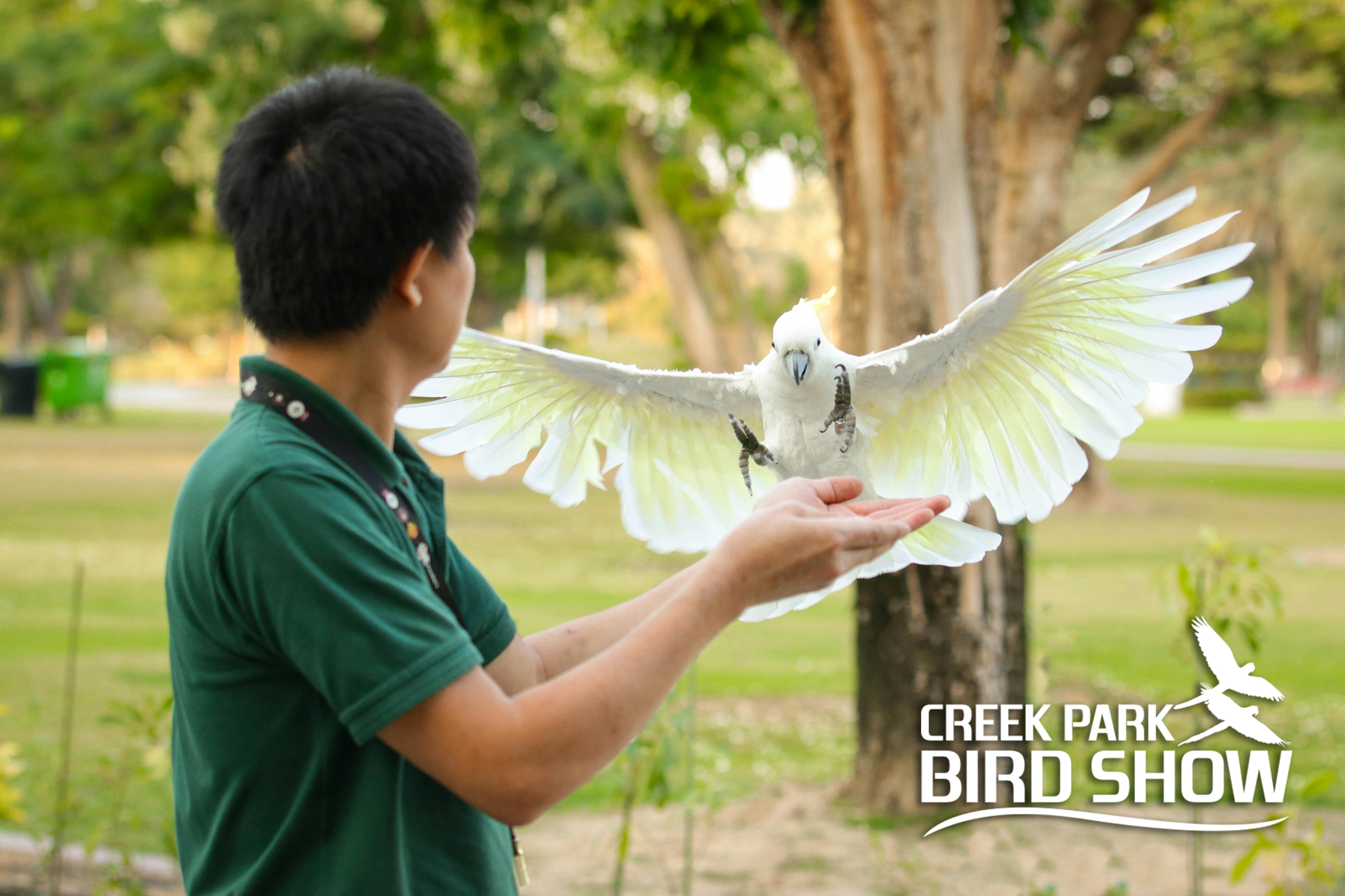 Dubai Dolphinarium: Creek Park Exotic Bird Show Location