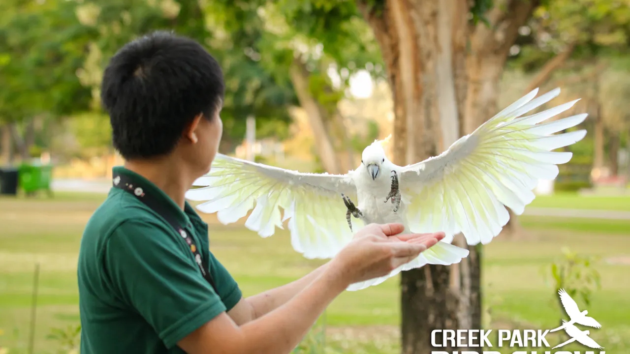 Dubai Dolphinarium: Creek Park Exotic Bird Show Location