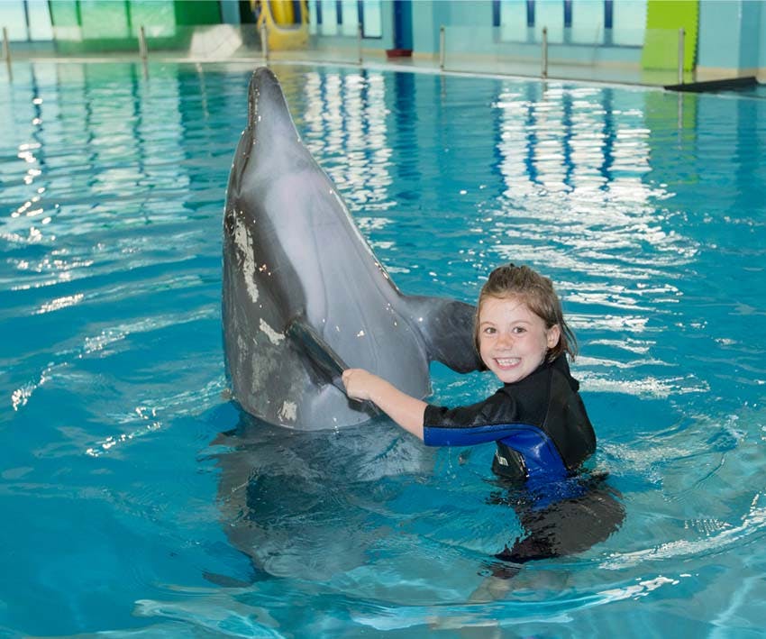 Dubai Dolphinarium: Swimming with Dolphins Discount