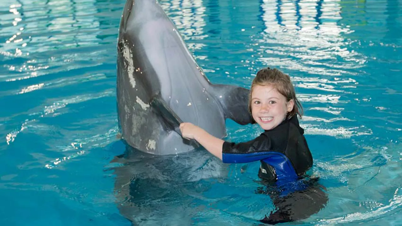 Dubai Dolphinarium: Swimming with Dolphins Discount