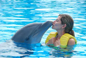 Dubai Dolphinarium: Swimming with Dolphins