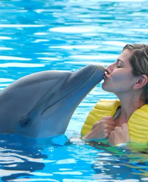 Dubai Dolphinarium: Swimming with Dolphins