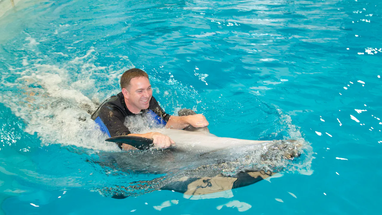 Dubai Dolphinarium: Swimming with Dolphins Ticket