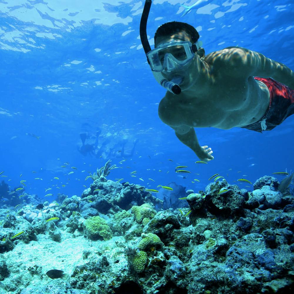 Ultimate Snorkel Adventure  Discount