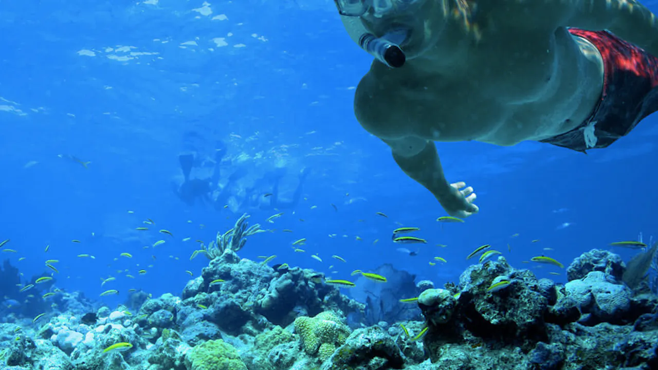 Ultimate Snorkel Adventure Discount