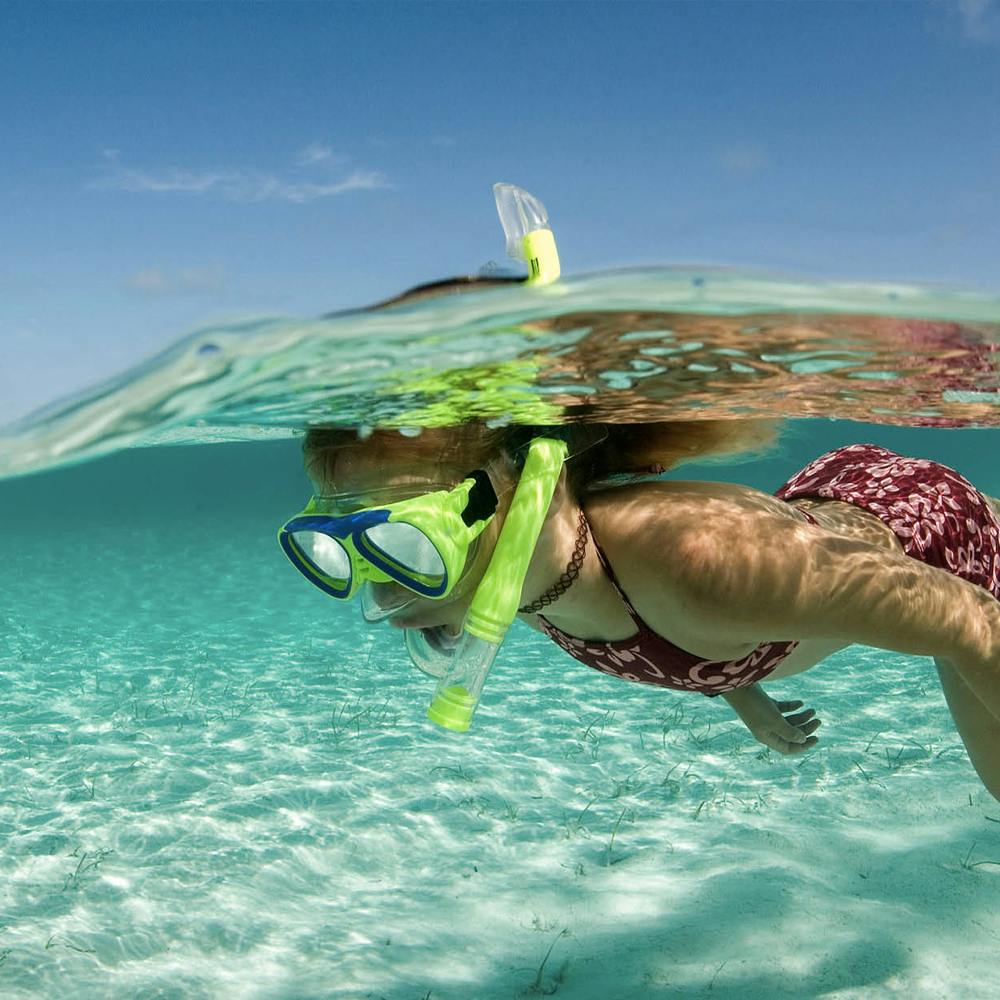 Ultimate Snorkel Adventure 
