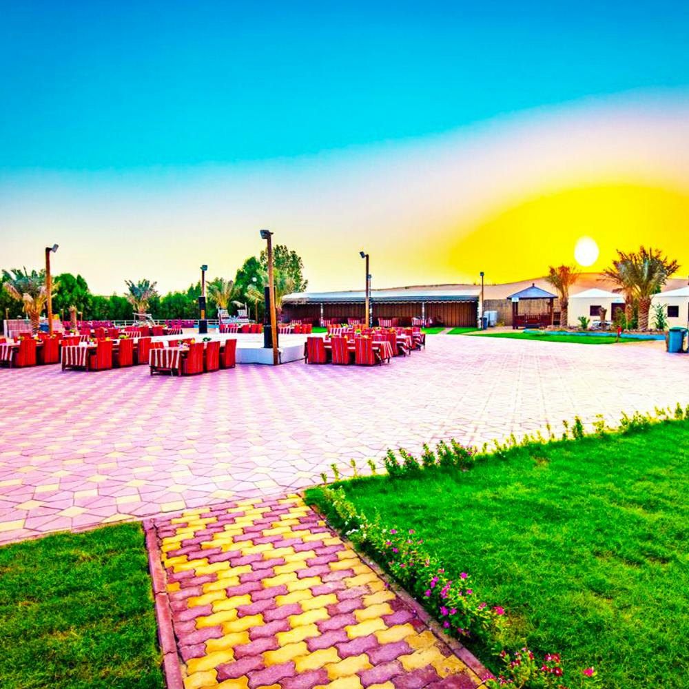 Luxury VIP Desert Safari  Thrillark