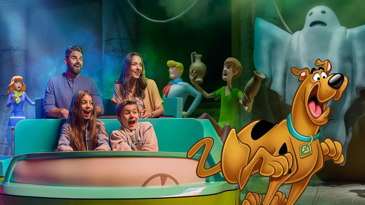 Abu Dhabi Mosque + Warner Bros park Tour from Abu Dhabi Location